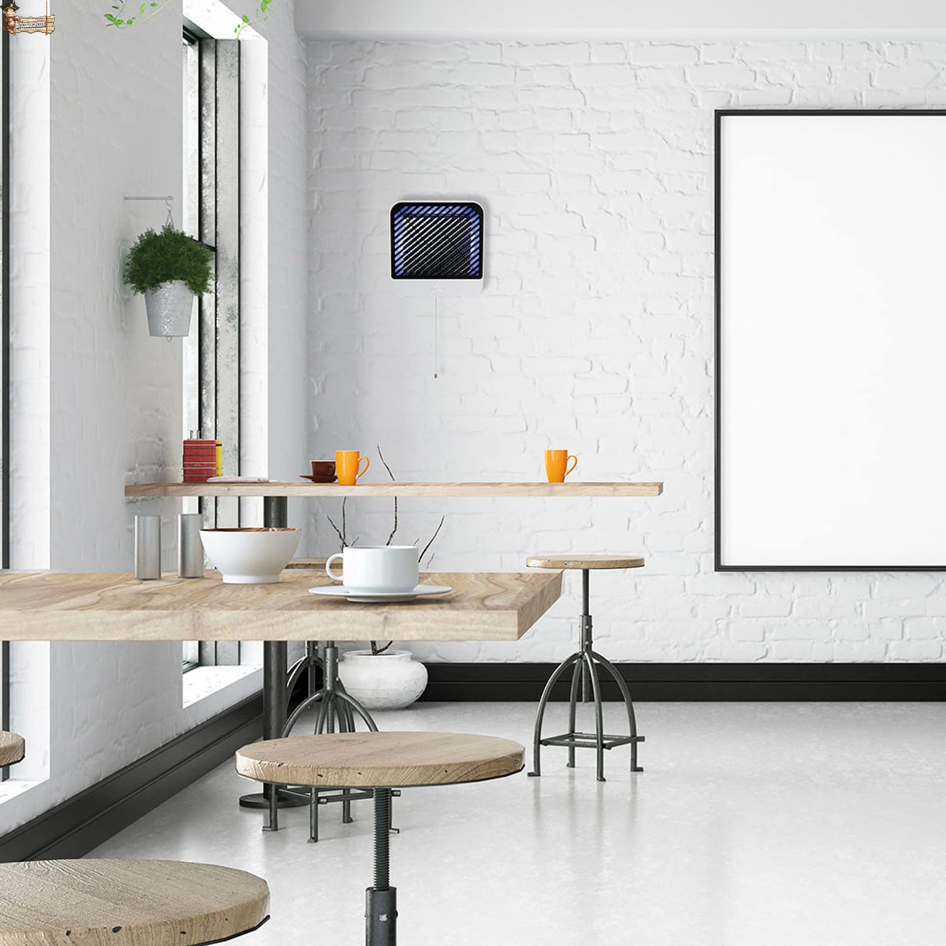 BricoLoco.com Uccide zanzare elettriche, lampada ultravioletta cattura zanzare professionale 30 cm Uso interno commerciale, locale o casa serbatoio insetti estraibile, appendere, scrivania, parete (2)
