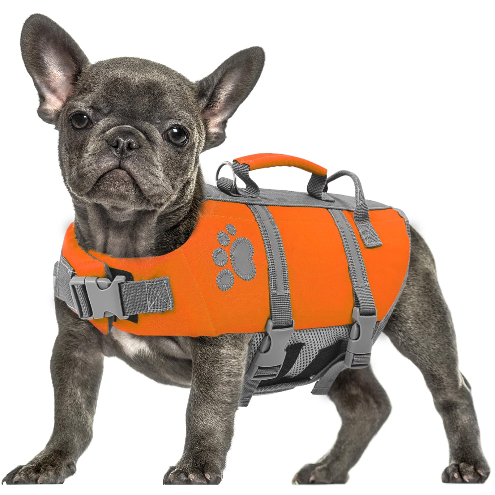 Queenmore Salvagente Cane Taglia XL, Leggero, Regolabile, Riflettente, Per Cani Grandi, Nuotare, Kayak, Paddleboarding (XL, Arancione)