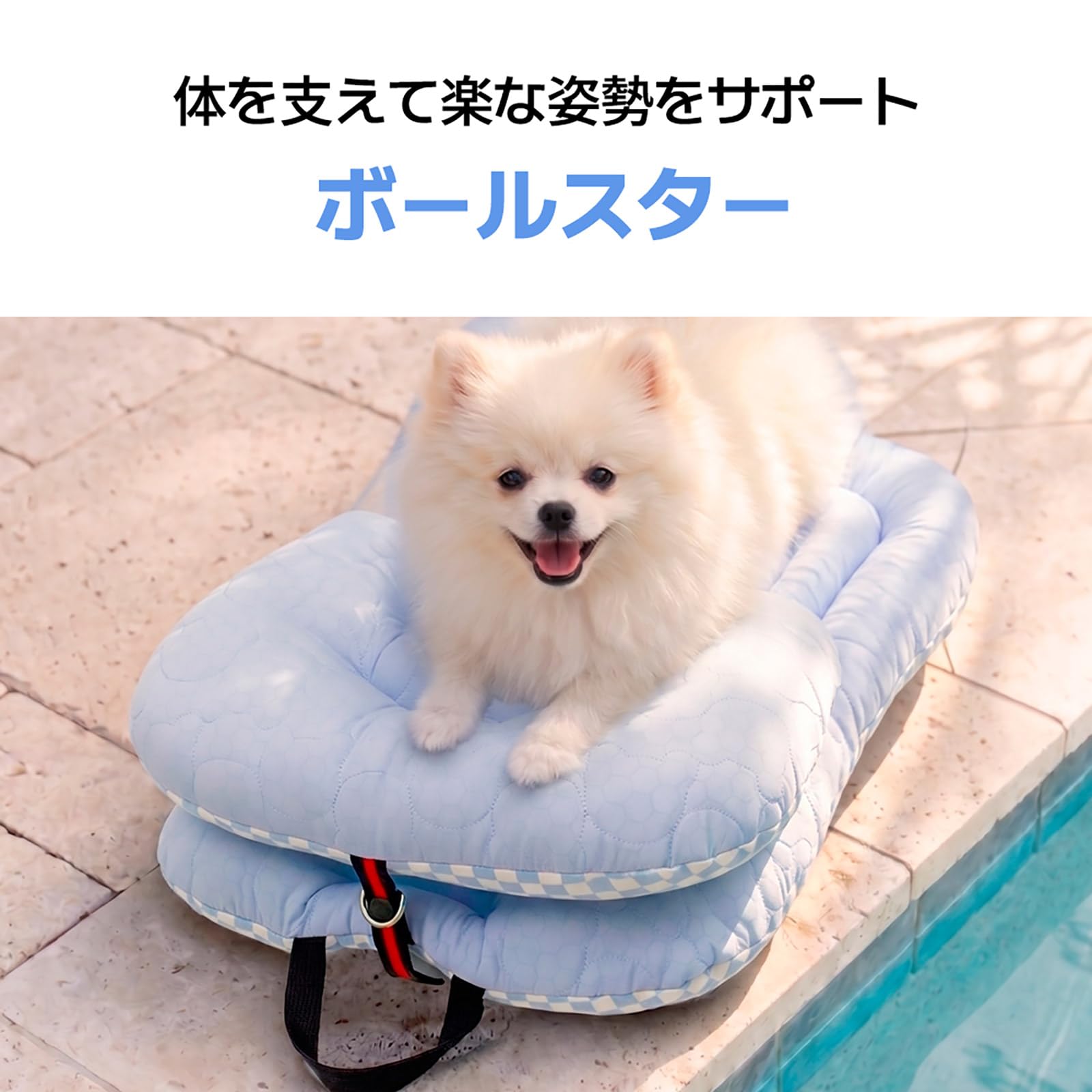 Amazon | HARRYSPET ペットカートクッション [3点セット] ICE BERRY