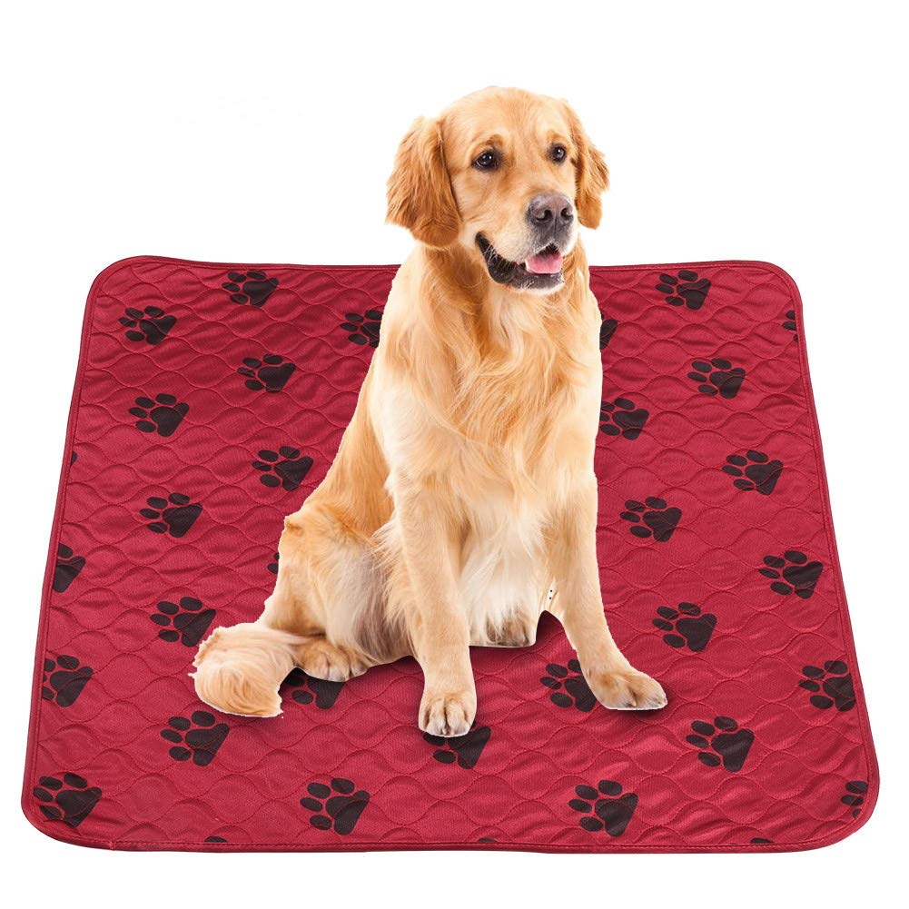 Tapis pour chiot idéal pour l'éducation et la maison