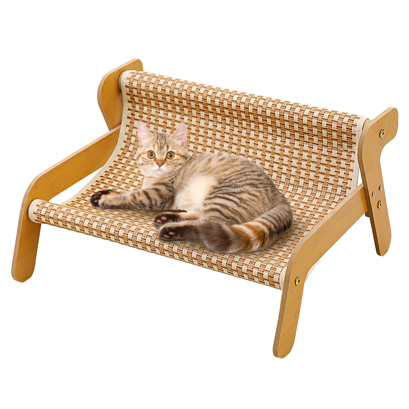 Grattoir pour chat ennuyé pour un salon zen et harmonieux