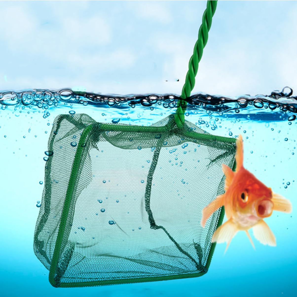 Toddmomy Red De Pesca Sacaderas para Pescar Acuario De Red De Peces es Accesorios para Peceras De Jaula De Peces con Asa De Malla De Pescado Nylon Green