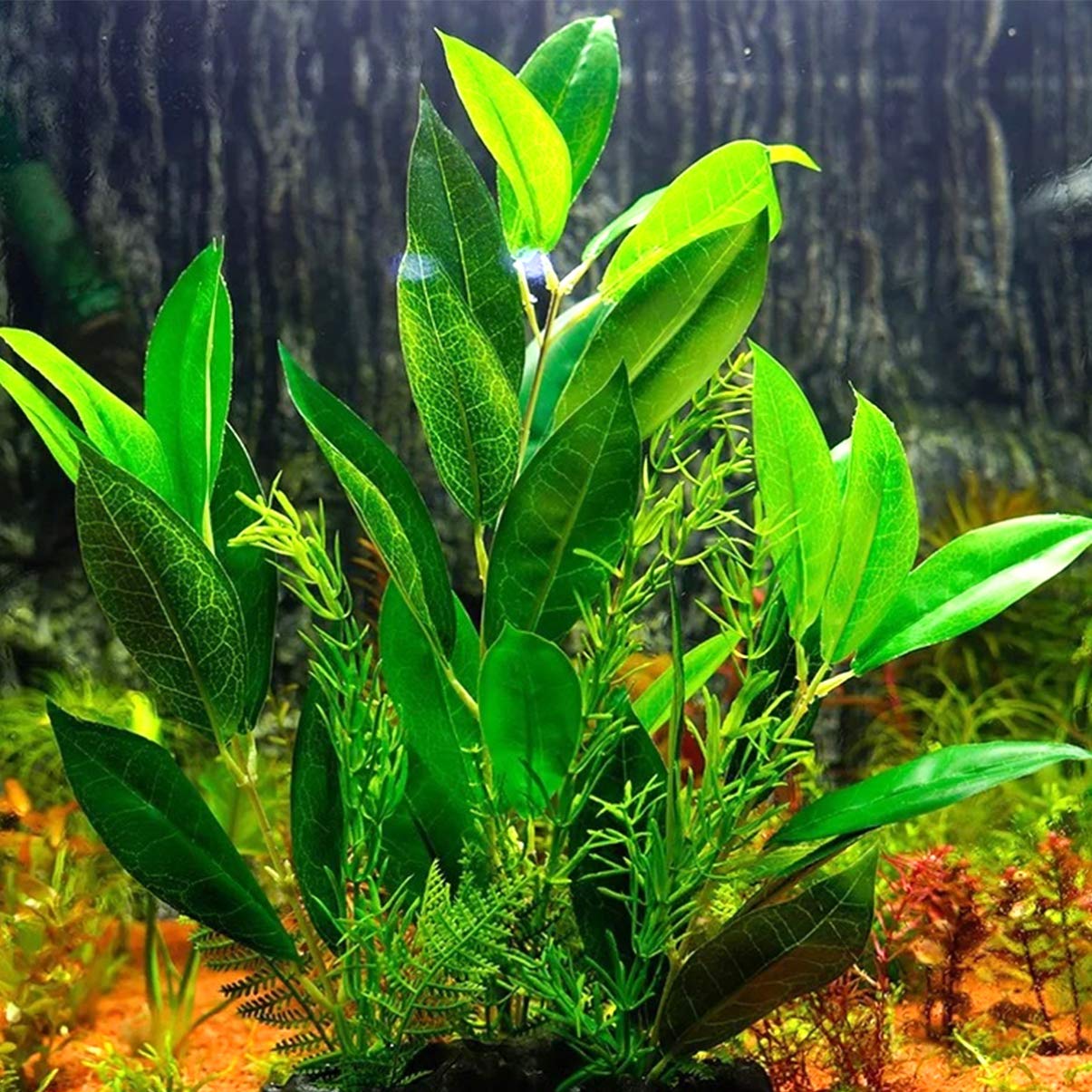 Happyyami 2stücke Künstliche Wasserpflanzen Für Aquarien wasserdichte Dekoration Mit Realistischer Kokospalme Für Fischbecken Und Terrarien Pflegeleicht Und Geruchlos Perfektes Heim Und