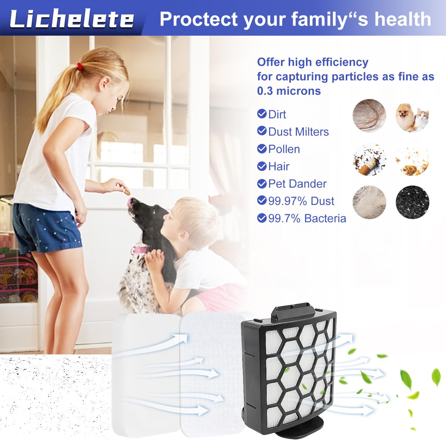 Amazon.com - Lichelete ZU102 ZU100 Vacuum Filter for Shark