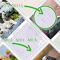 Vista 1110 de Razas de Perros 2017