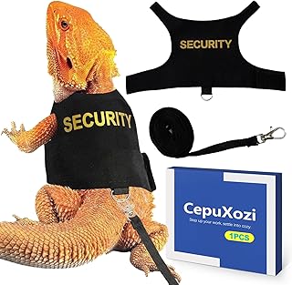 Bearded Dragon Leash and Harness Set, Escape Proof Adjustable Lizard Harness for Outdoor Walking, Cute Costume Accessories for Small Reptile Pets