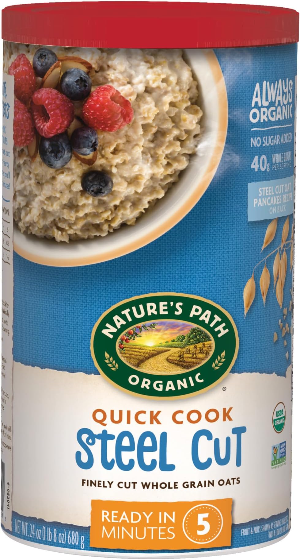 Nature's Path Organic Quick Cook Steel Cut Oatmeal, 24 oz (Pack of 1), Non-GMO
