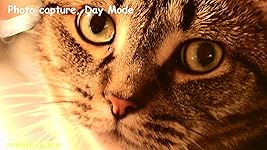 Review Image by G9195 G9195
