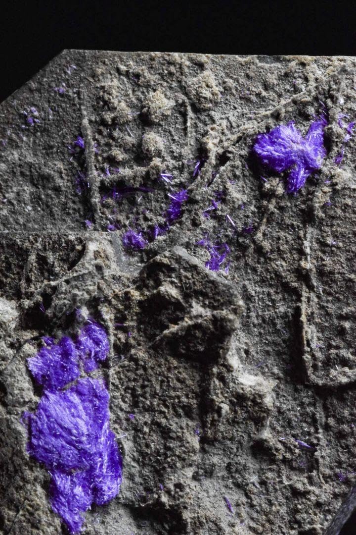 天眼 瑪瑙 原石 s807 オーシャンアゲート 仏眼 鉱物 花眼 マダガスカル 天眼 瑪瑙 原石 s807 オーシャンアゲート 仏眼 鉱物 花眼 マダガスカル