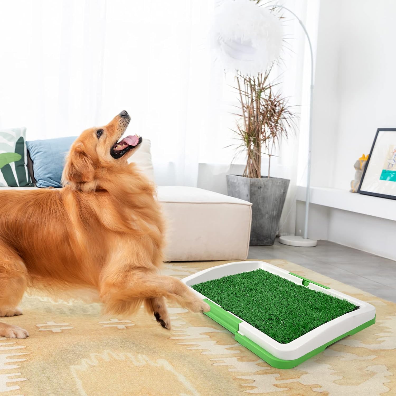 dofopo Grass Puppy Pad, Portable Potty Training Tray with Artifical Turf, 3 Layer Dog Pee Patch Small Pet Toilet for Apartment, Patio, Indoor(18”x12”) : Pet Supplies