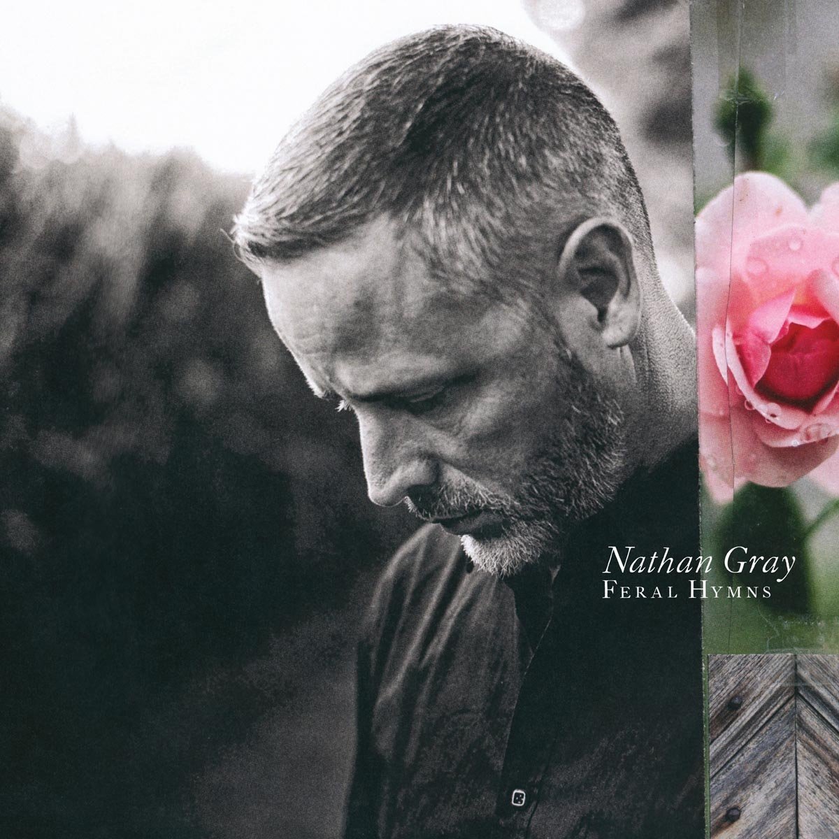 Nathan Gray Feral Hymns CD Fast Shipping New & Sealed