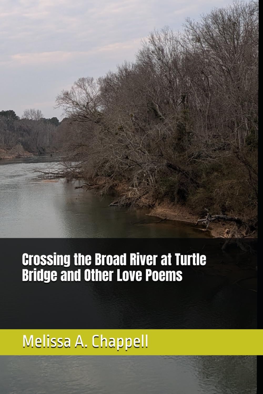 Crossing the Broad River at Turtle Bridge and Other Love Poems