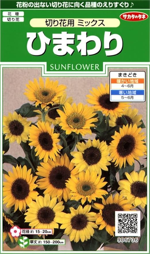 Amazon サカタのタネ 実咲花6736 ひまわり 切り花用ミックス 花 Amazon サカタのタネ 実咲花6736 ひまわり 切り花用ミックス 花