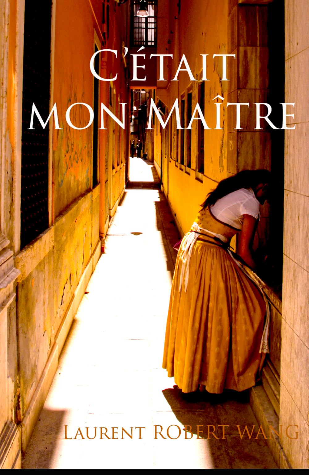 C'était mon Maître: Dialogues apocryphes de Plotin