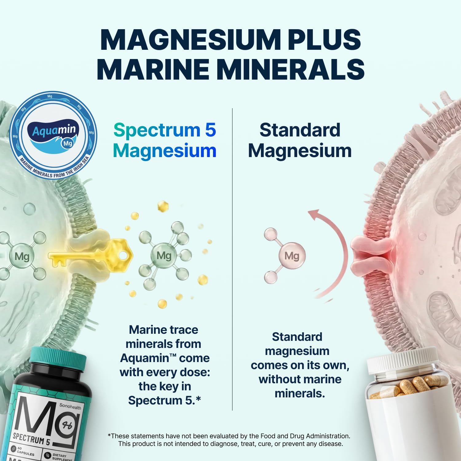 Spectrum 5 Magnesium | 5-in-1 Magnesium Complex — Amazon image 4