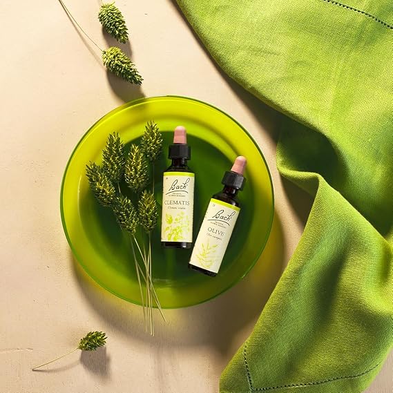 Bach Original Flower Remedies Olive, Live The Day, Stay Energised, Emotional Wellness, Natural Flower Essence, 20ml