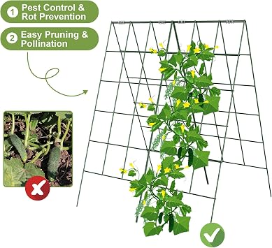 Amoskey Cucumber Trellis, Garden Trellis for Climbing Plants Outdoor, Foldable A-Frame Trellis, Cucumber Trellis for Raised Bed for Cucumbers, Peas, or Tomatoes (Green, Bold Large Grid 46''H*36'W)
