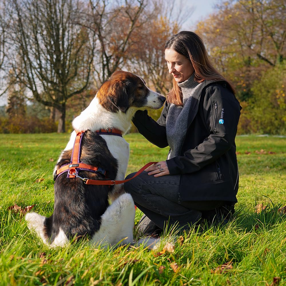 Anny-X Brustgeschirr Fun | Limited Edition Pflaume trifft Zimt | Hundegeschirr Größe XL (Brustumfang 78-96 cm)