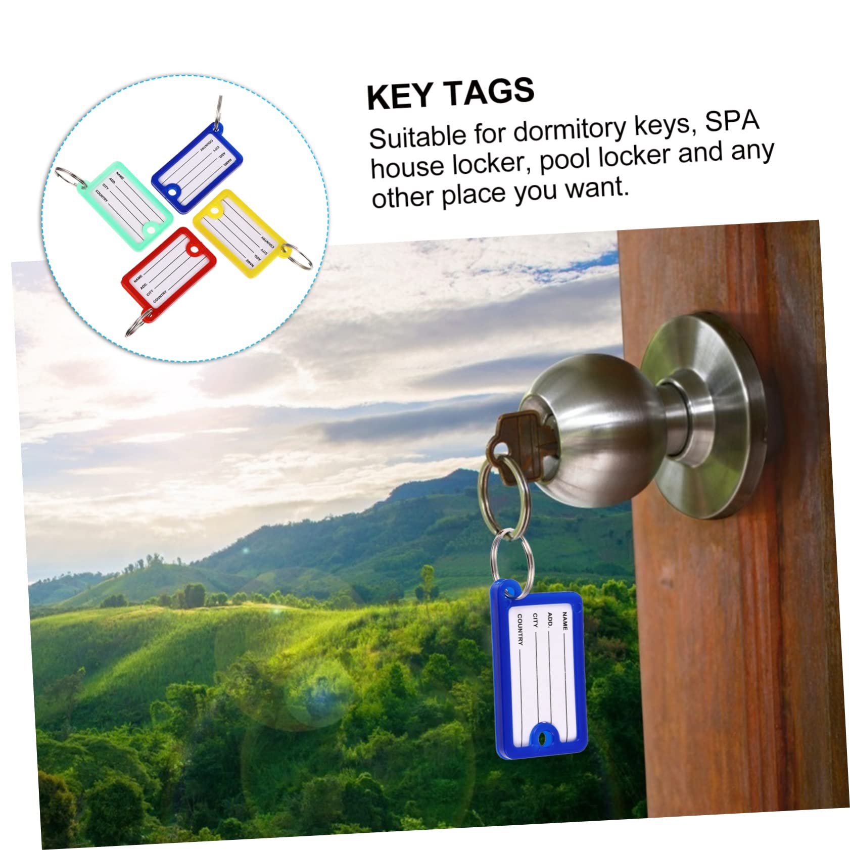 ARTIBETTER 2 Set Targhette Colorate Per Chiavi Etichette Identificative Con Anello Per Bagagli E Animali Domestici Per Contrassegnare Chiavi E Accessori Vari Facili Usare E 100 Pezzi*2