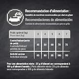 Ver la foto 4