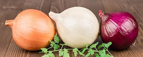 Miniatura 3 de Cebolla Vegetal Rainbow Mix Neutral - 500 Semillas