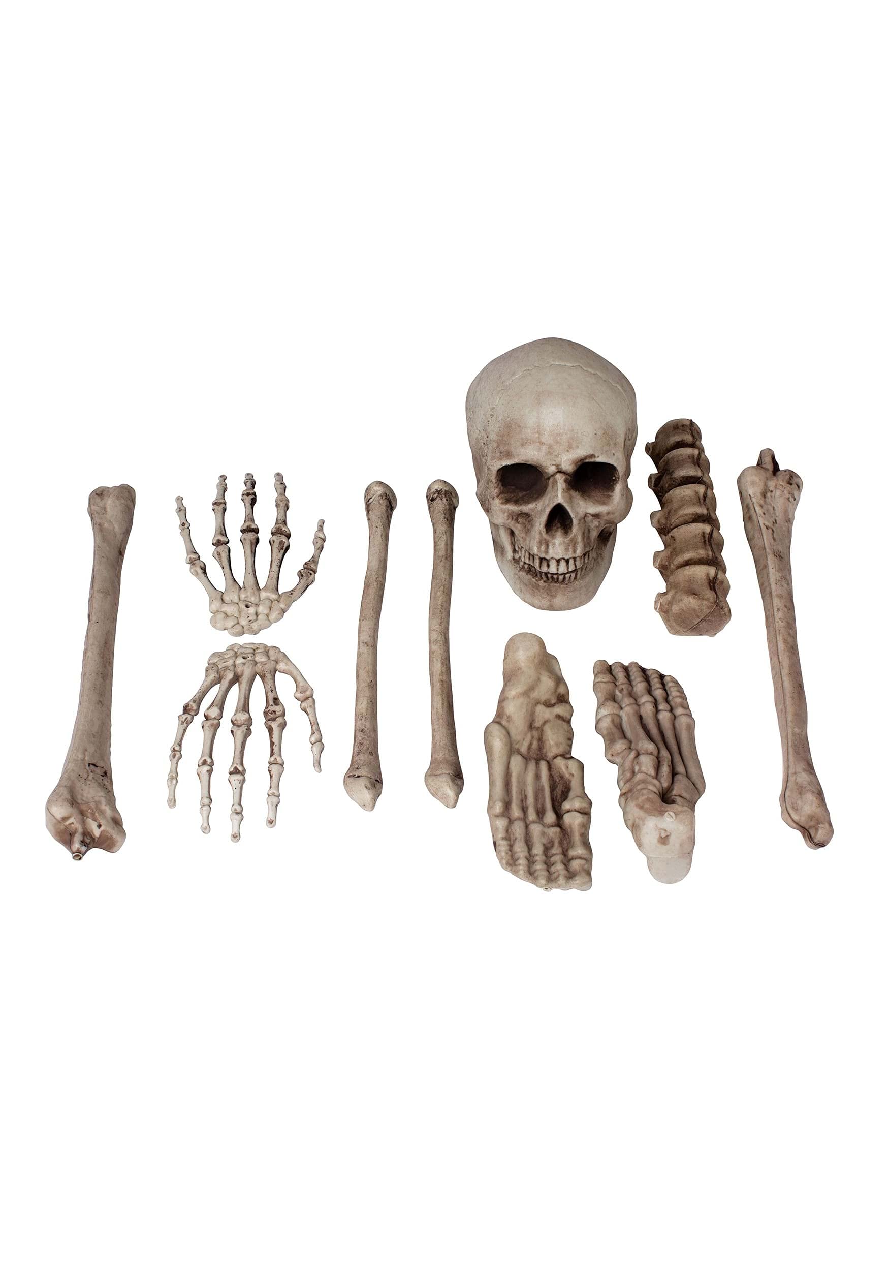 Fun World Bag O Bones Prop Standard