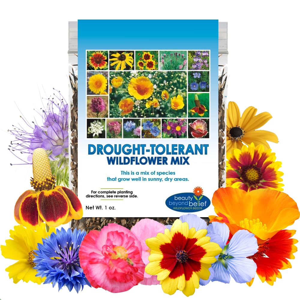 Amazon.com : Drought Resistant Wildflower Seeds - 1oz, Open