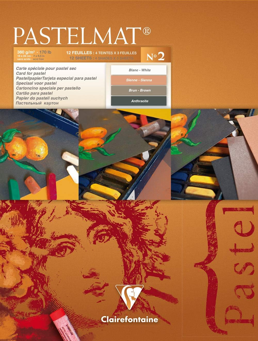 Clairefontaine Ref 96775C Ingres Pastel Paper (12 Sheets) 24x32cm