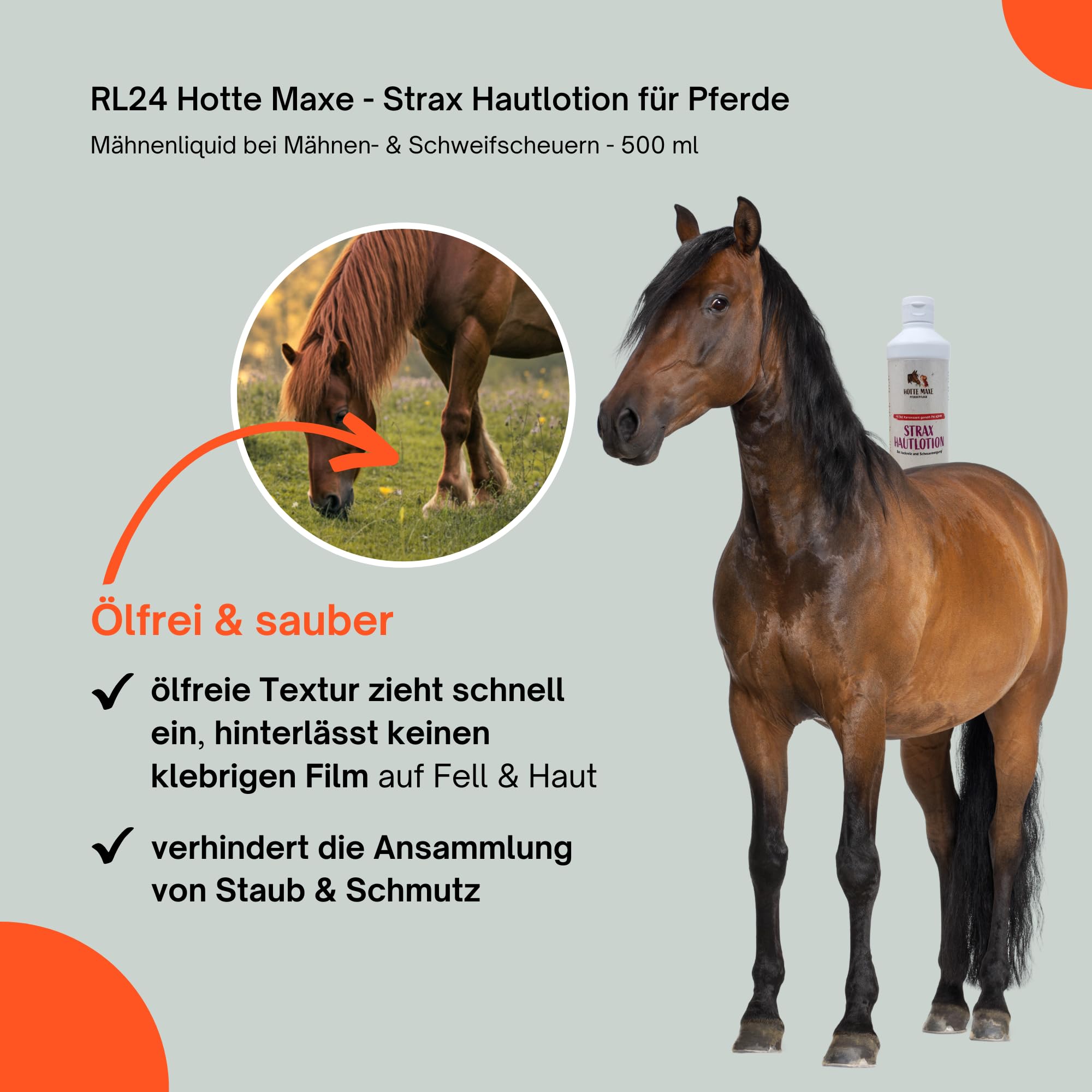 RL24 Hotte Maxe - Strax Hautlotion für Pferde – 2 x 500 ml Flasche (2er Set)