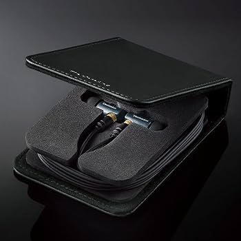 Amazon.co.jp: Technics プレミアム インイヤーモニター IEM