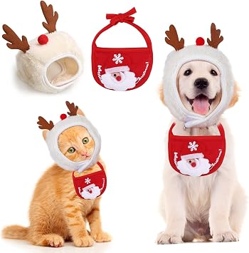 Tensphy Costume di carnevale, motivo: gatto e cane, cappello di San  Valentino, colore rosso, S : Amazon.it: Prodotti per animali domestici