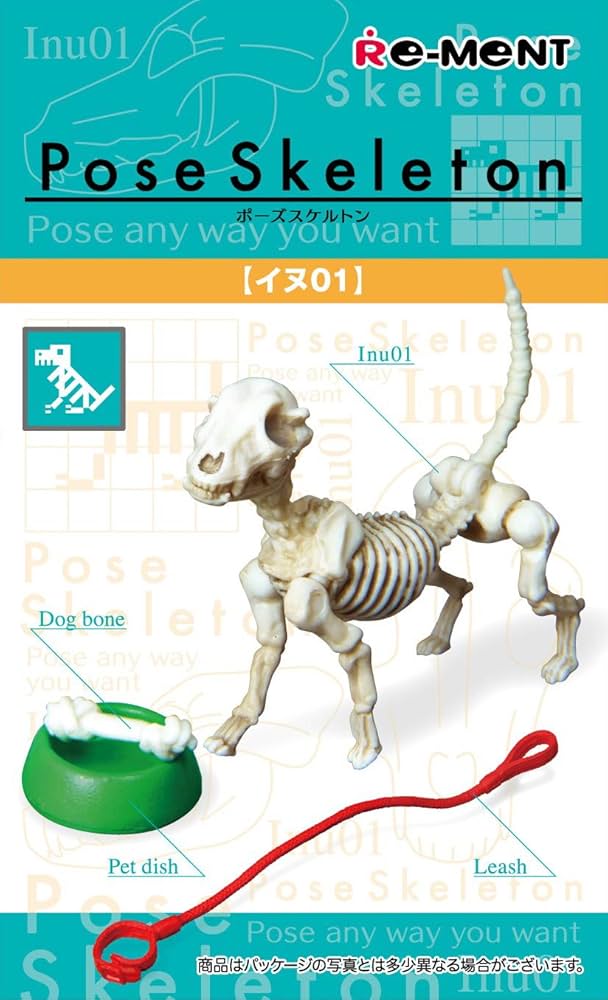Amazon | ポーズスケルトン イヌ (1) | フィギュア・ドール 通販