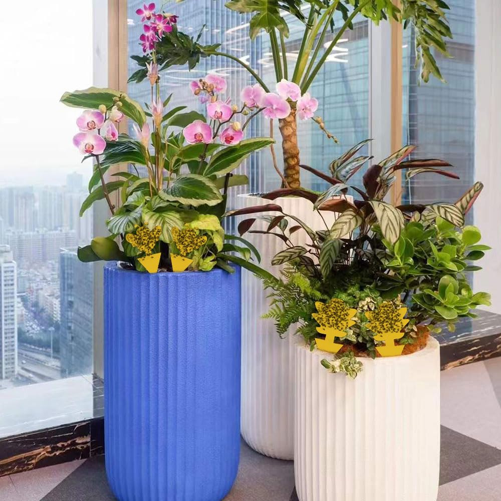 500 g muschio per orchidee, muschio sfagno, sphagnum moss con 10 trappole mosche, substrato per orchidee, emendamento del suolo di giardinaggio e mezzi di terreno per piante carnivore