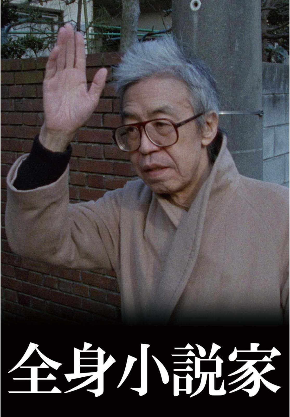 全身小説家