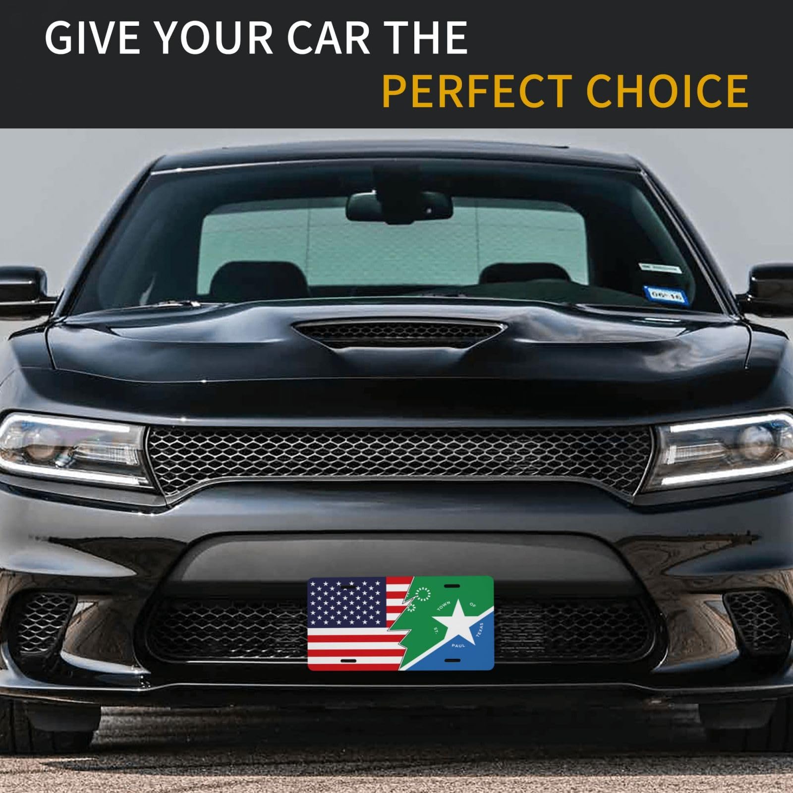 Mexico Flag License Plate
