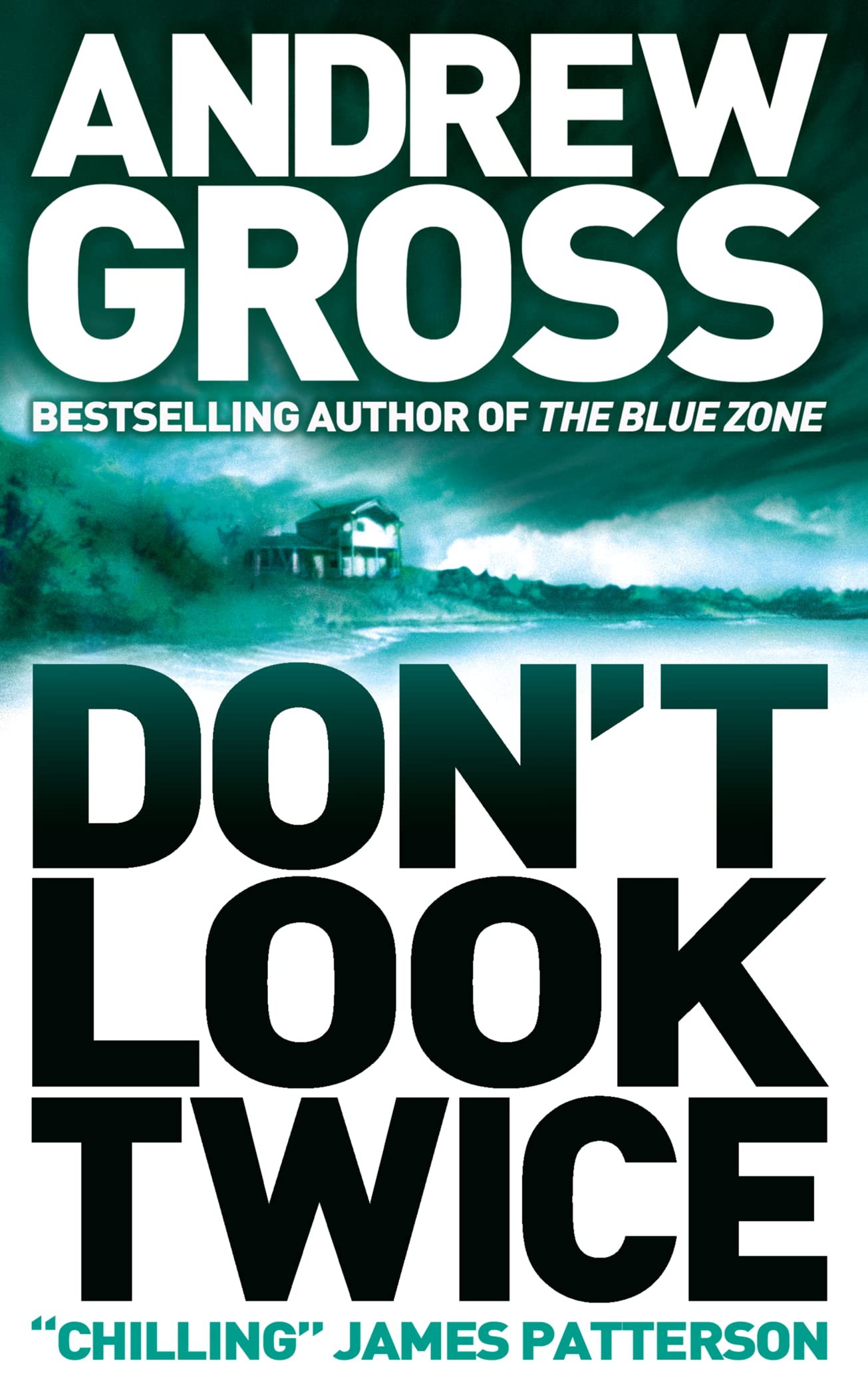 DON'T LOOK TWICE: A Gritty Crime Thriller About a Deadly Conspiracy and a Lone Detective