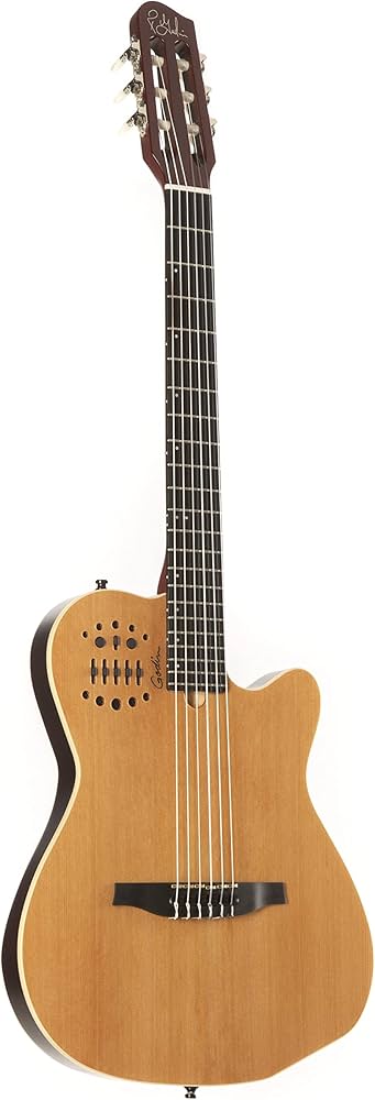 ギター Godin ACS NATURAL SG Godin Multiac Series-ACS Guitar (Natural SG) : Amazon.ca: Musical