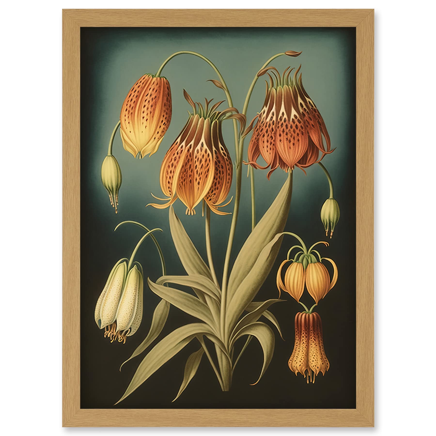 Artery8 Fritillaria Flower Plant Ernst Haeckel Inspired Plant Study Modern Watercolour Painting Illustration Artwork Framed Wall Art Print A4