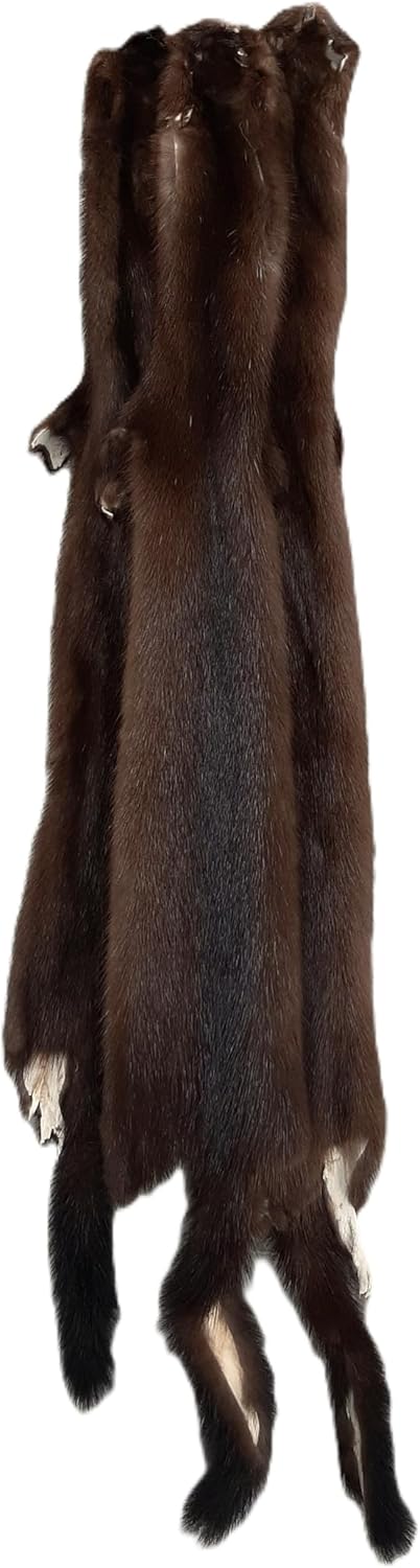 Furs Female Wild American Mink : Premium Grade - Genuine Real Fur Pelt/Hide, Tanned for Sewing, Display, Decoration, Garnment, and Crafting - 25" Length Average