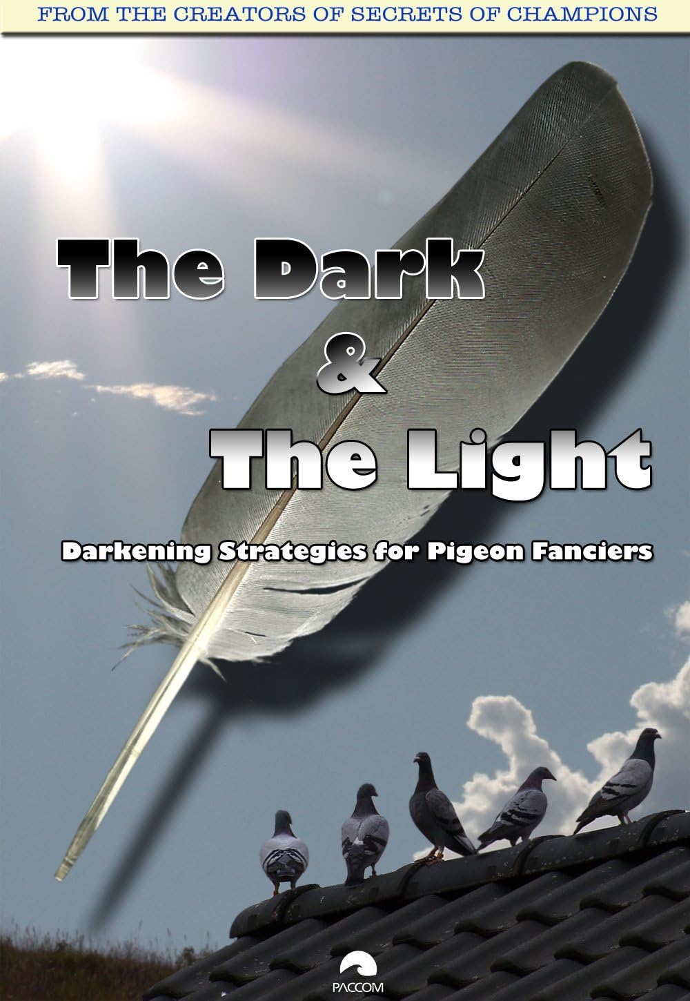 Pigeon Racing: The Dark & The Light