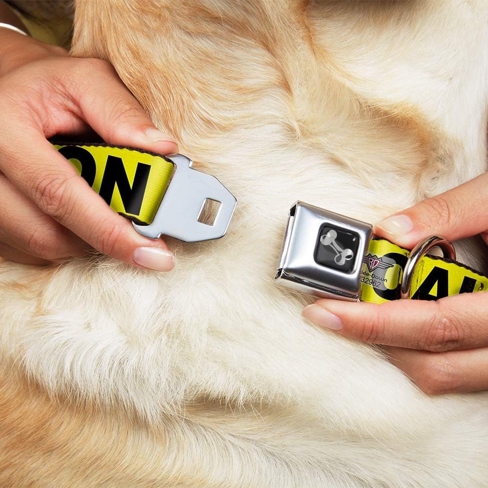 Buckle-Down 15-26" Caution Yellow/Black Dog Collar Bone, Large