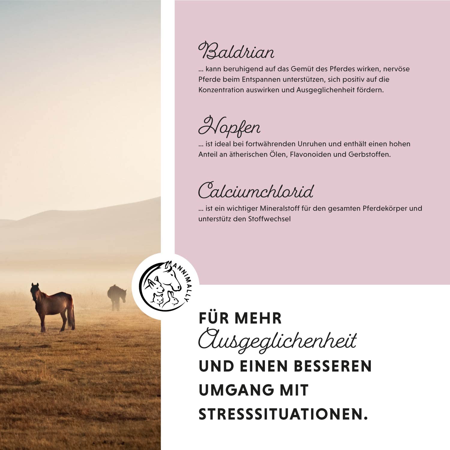 Annimally Relax Liquid für Pferde 1000ml Nervensaft zur Beruhigung beim Pferd mit Baldrian, Hopfen, Tryptophan, B12, Magnesium & Calcium flüssig - Gegen Angst, Stress & für Transport