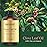 100% Pure Clove Essential Oil - 1 fl oz (Clove)