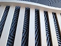 Review Image by Ron Daily