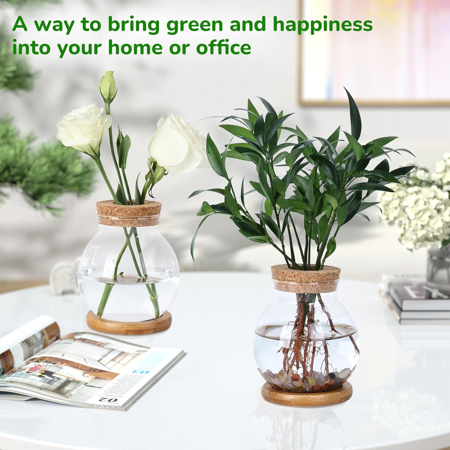 Propagation Station, Larger Capacity Ball Vase with Base for Hydroponic Plants, Home/Office Decor & Gift for Plant Lovers, 2pcs Glass Terrariums - Image 7