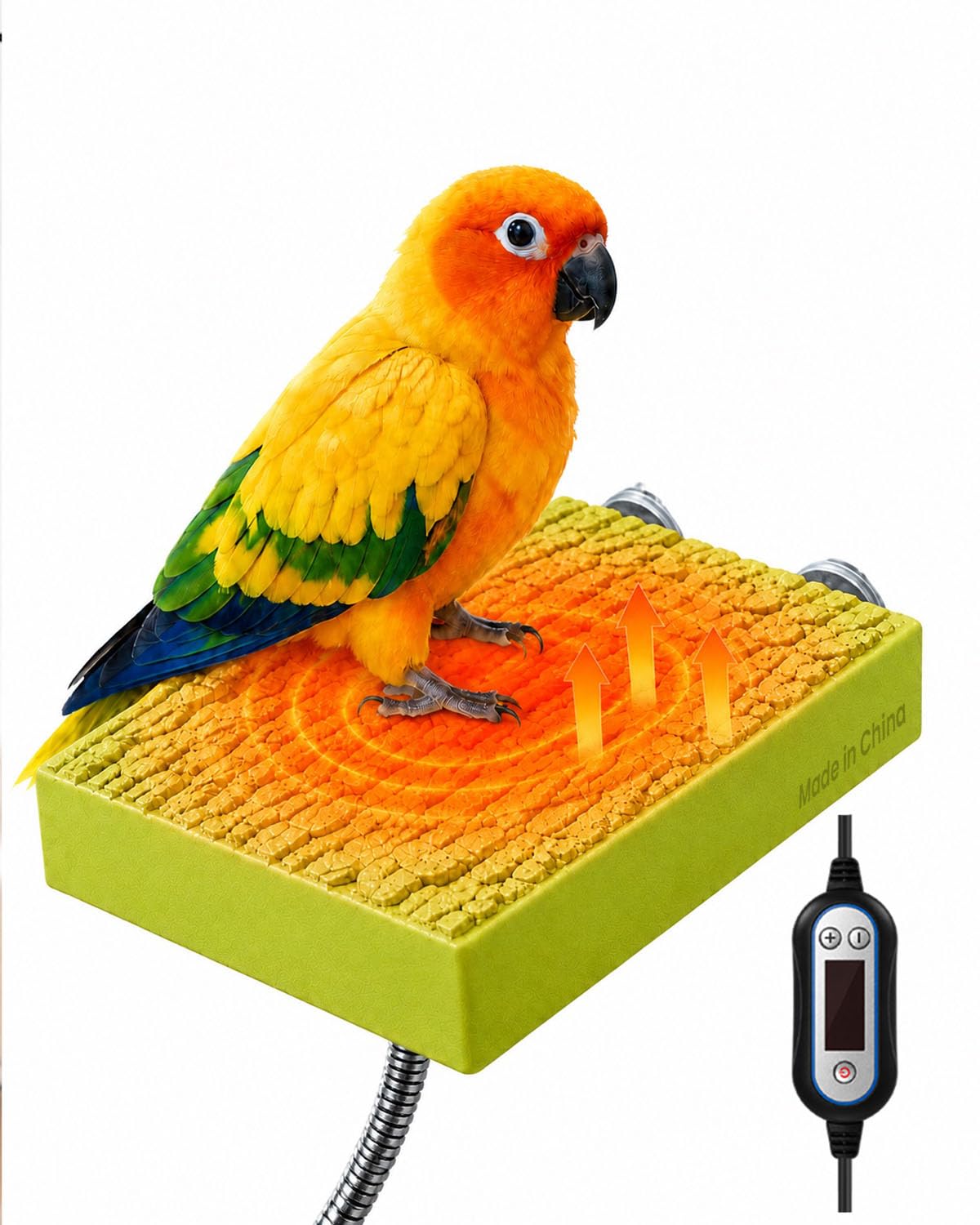 GlowUp Bird Heater for Cage with Digital Display Switch - Adjustable Temperature Heated Bird Perch, 5W 33 °C-48 °C Range Heating Stand Platform for Parrots, Cockatiels, Parakeets, Birds