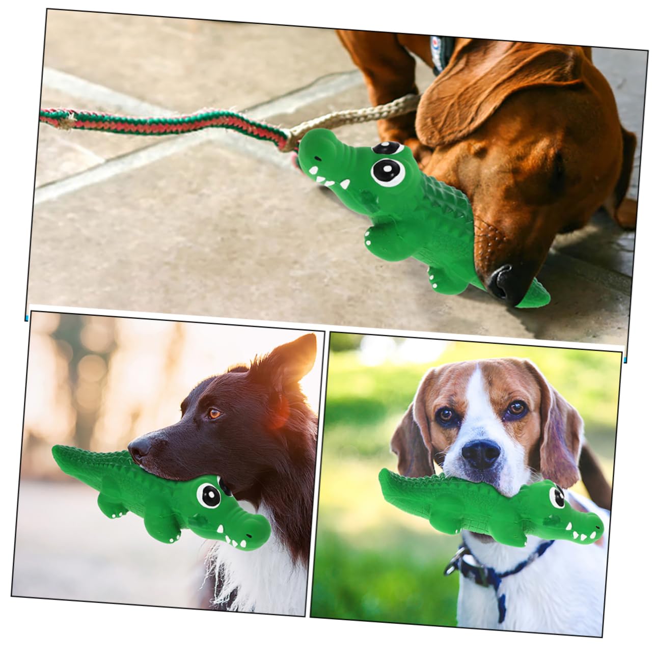 Toddmomy 8pièces Jouets à Mâcher Squeaky pour Chiens Jouets Latex pour Nettoyage Et Détente des Animaux De Compagnie
