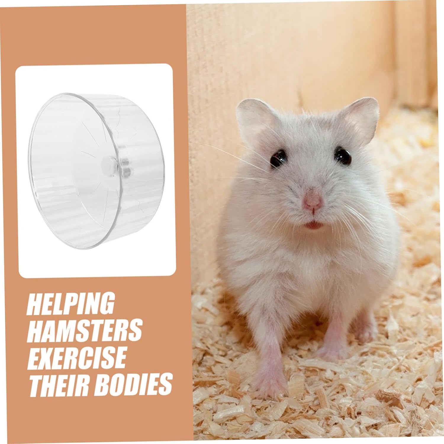 Toddmomy Silent Hamster Running Wheel Large 12-Inch Exercise Wheel for Hamsters Chinchillas Gerbils Sturdy Crystal Design Dual Bearings for Smooth Operation