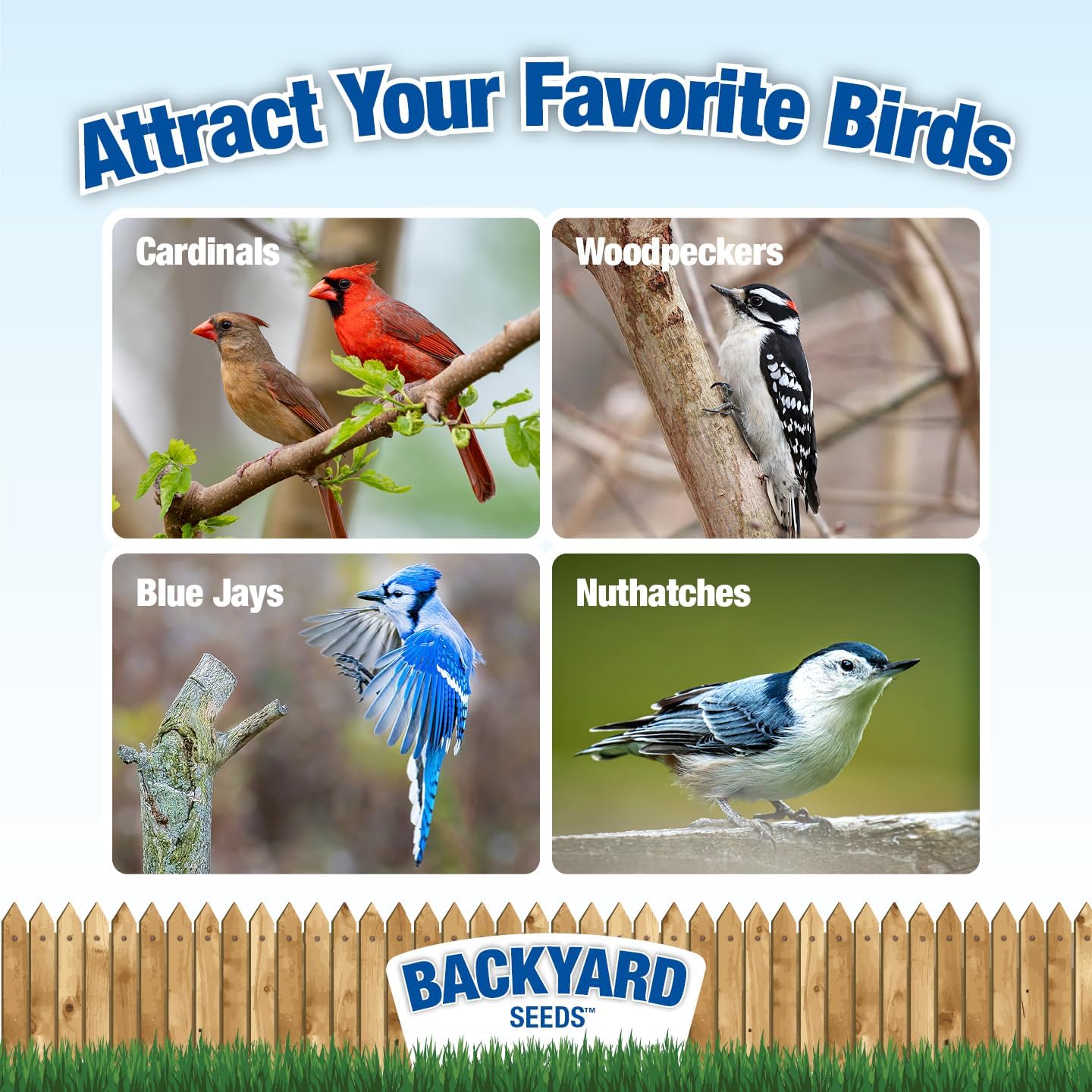 Backyard Seeds Wild Bird Seed Bell - Netting for Easy Hanging - Wild Bird Food (3 Pack, Crunchy Peanut)