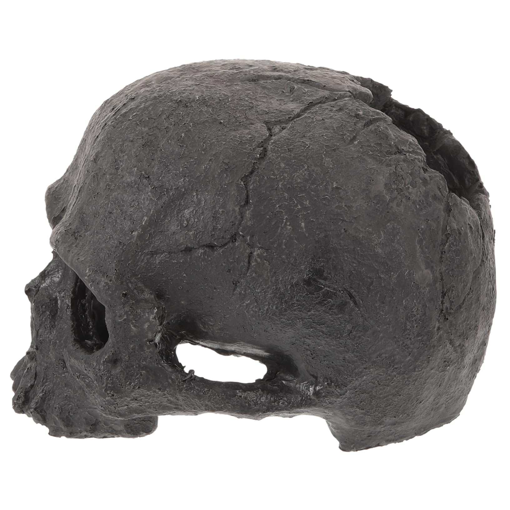 Cabilock 5 Pezzi Nascondiglio di Pesci Sott'Acqua per Nascondiglio Dell'acquario Nascondersi Vasca Dell'acquario Decorazione Pescare Scheletro Arredamento Grotta Acquario Resina Black